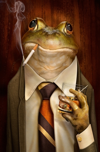 Photograph Jennifer Taylor Jeff Tucker Frog Boss on One Eyeland